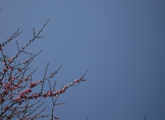 A9B0488B-8F8F-429B-B9B7-2F54CD22E070/L0/001