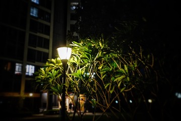 095FF96A-5BD9-48A7-92E7-63A5B850D25F/L0/001