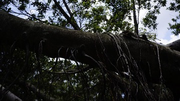 _DSC7250.JPG