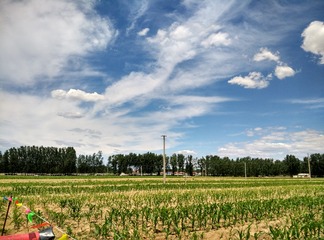 304480