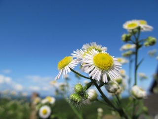 IMG_1294.JPG