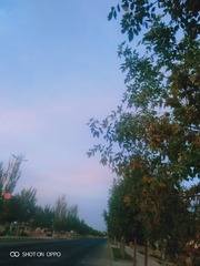 1658453