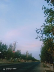 1658454