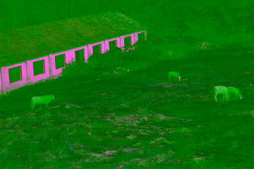 1000090295
