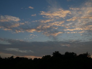 C4B35341-41F9-419D-B1CB-1F6D40DF902D/L0/001