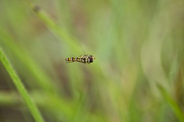 _DSC5813.jpg
