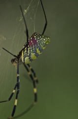 _DSC5876.jpg