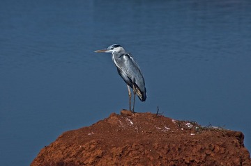_DSC6205.jpg