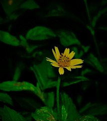 C679A825-7FBC-4F4E-858E-C4F21A4BBC2D/L0/001