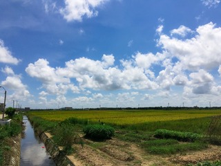 9E311B22-C7FD-4D8D-83E4-CF135A9A2AE8/L0/001