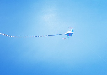 216626