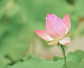 130258