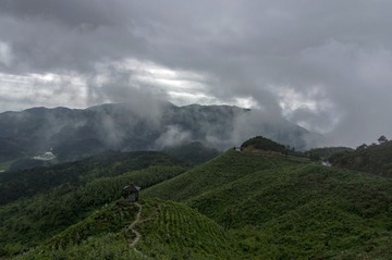 895462