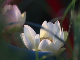 125508