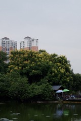 3B162743-FFD7-468B-9E2A-2309EDA8322B/L0/001