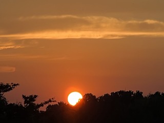 EE3B207F-D533-4D52-AAF4-0B43B1806688/L0/001