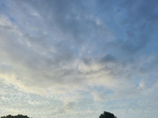 1000006014