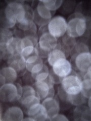 8CEC0CC1-2F7A-409D-822C-1A1F74B2308B/L0/001