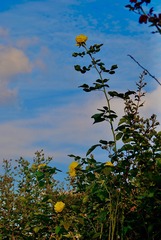 57325A3E-5F35-4048-9DCE-1BEAE15EF79F/L0/001