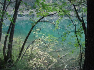 DSC07323.JPG