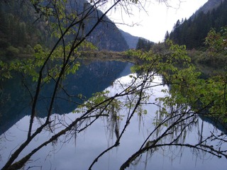 DSC07336.JPG