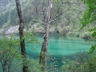 DSC07354.JPG