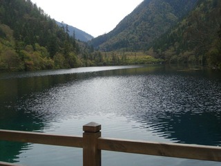 DSC07386.JPG
