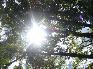 DSC07648.JPG