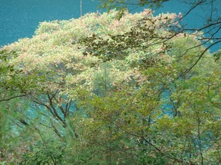 DSC07566.JPG