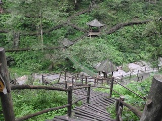 IMG_0043.JPG