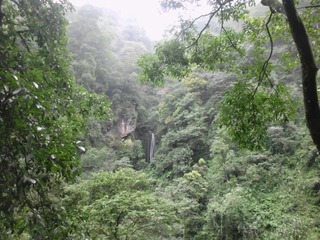 IMG_0061.JPG