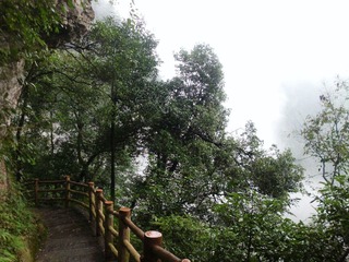 IMG_0086.JPG