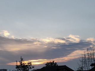 1000030522