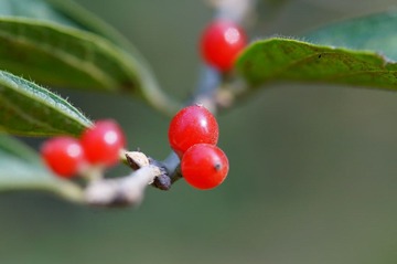 DSC03328.JPG