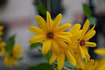 DSC02596.JPG