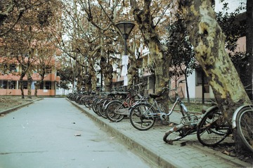 _DSC0724-3_1.jpg