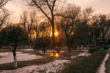 DSC_1894.jpg