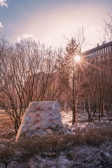 DSC_1915.jpg