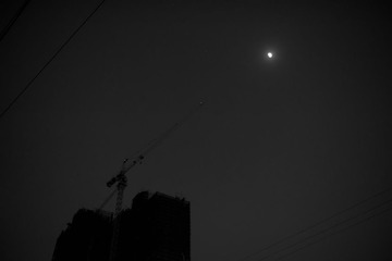 DSC_2329PS.jpg