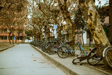 20130212-_DSC0724-2.jpg