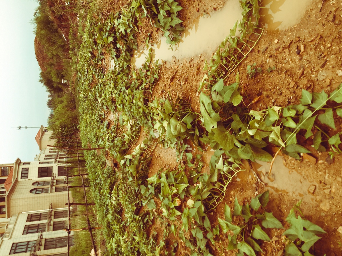 胖电塔与街头摄影第35期雷雨田·流岚滤镜    打开微信,使用"扫一扫"
