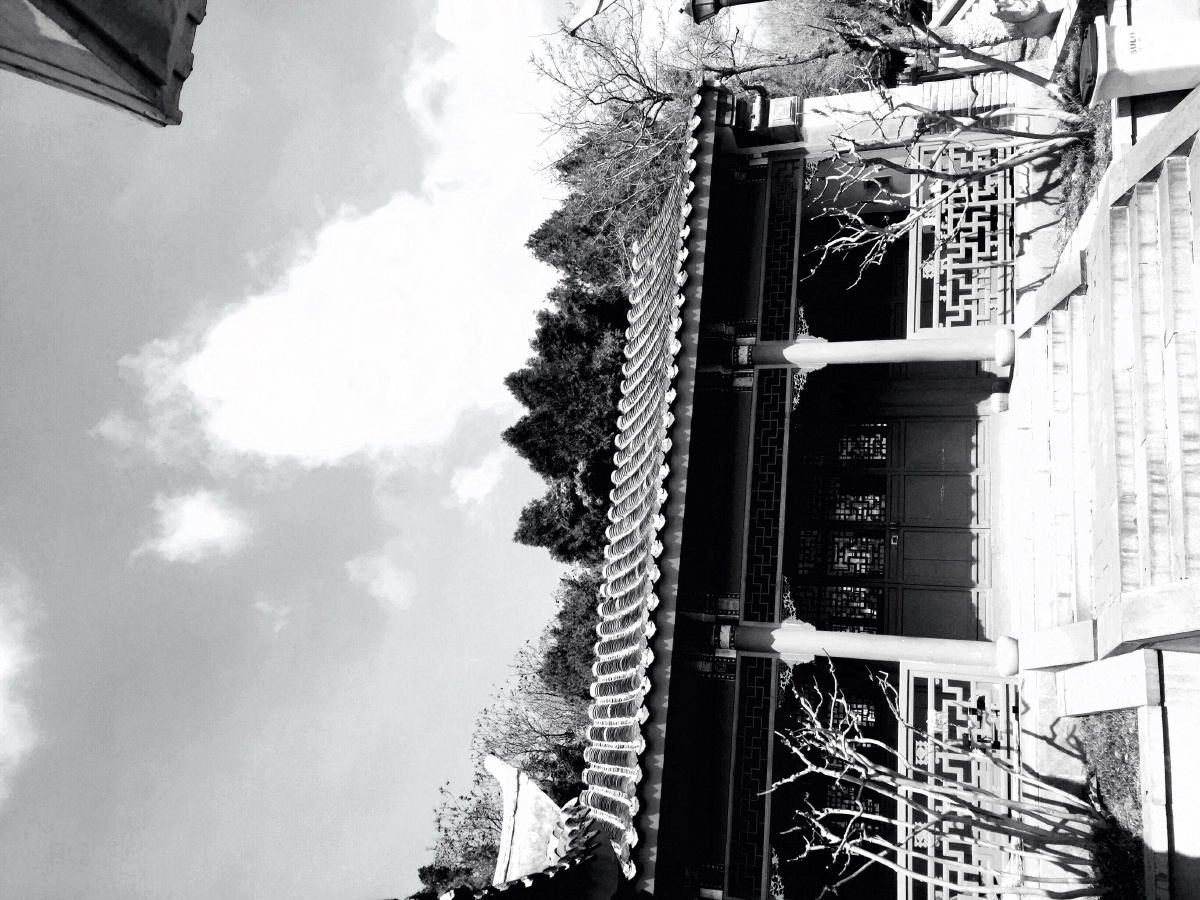 发现- 沧浪屿 - 图虫