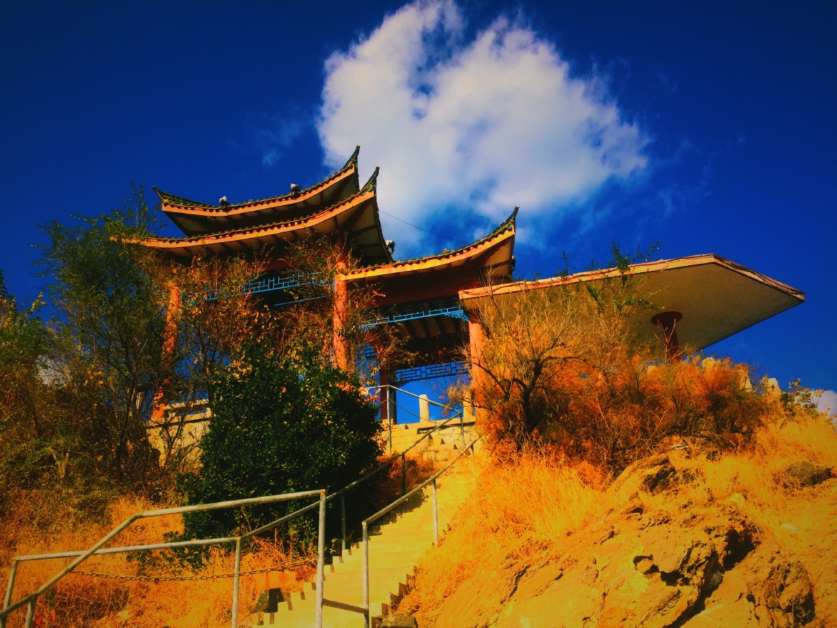 深秋的感觉 - 沧浪屿