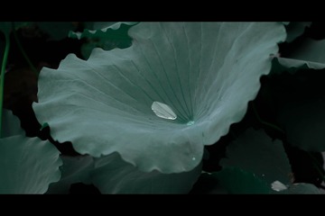 A71DB2E8-5E28-405A-A130-BFFDCC0EA76E/L0/001