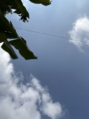 1F99C8FB-9F70-42A1-B1C9-AD69B39E20A2/L0/001