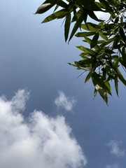 656465EB-0AA2-4923-BF8C-607E3AADC0E2/L0/001