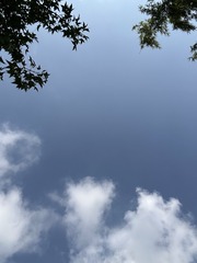 CDF06BA9-5C4D-45B0-9F8D-9D2AD32C3873/L0/001
