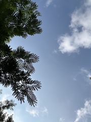 8229BA39-3525-4D94-9969-F5275852B28D/L0/001