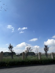 C1647B6D-4CC2-44DB-8371-8FA6FFFEA851/L0/001