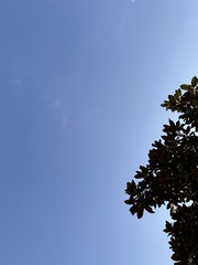 E2F7652E-2626-4B79-8E4D-8E5475941EA0/L0/001